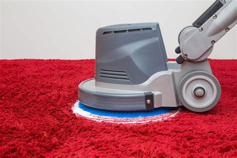 Stqin Magic Carpet Cleaner vs. Traditional Carpet Cleaning Methods: Which is Better?